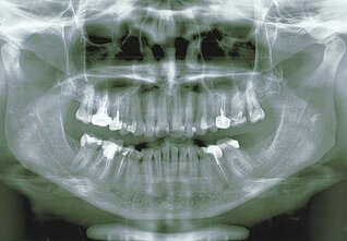 Peizažas. Asmeninio autoriaus archyvo nuotrauka