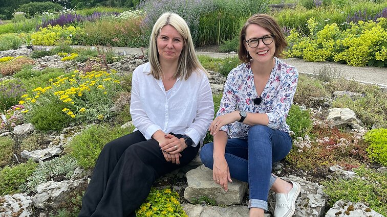 Akmenų ir augalų draugystė: kaip padaryti, kad jie gerai augtų viename želdyne?