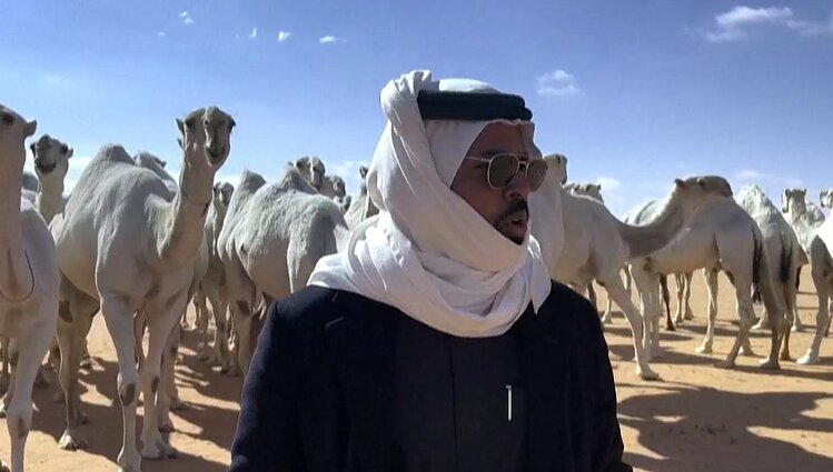 Įtraukta net į UNESCO: Saudo Arabijoje kupranugariai klauso piemenų išdainuojamų nurodymų