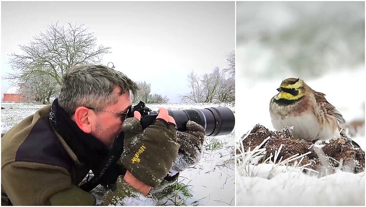 Gamtininko užrašai. Kaip Čepulis išpildė savo svajonę: šito paukščio ieškojau 10 metų