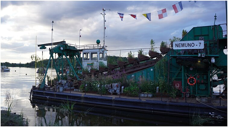 Kūrybiškai apželdinta žemkasė ir augalai pionieriai