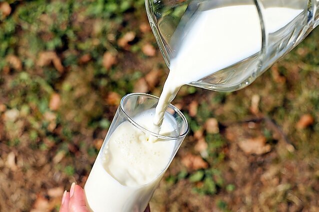 Žemės ūkio kooperatyvų asociacijos vadovas: gali ateiti tokia diena, kai Lietuva vargiai apsirūpins pieno produktais