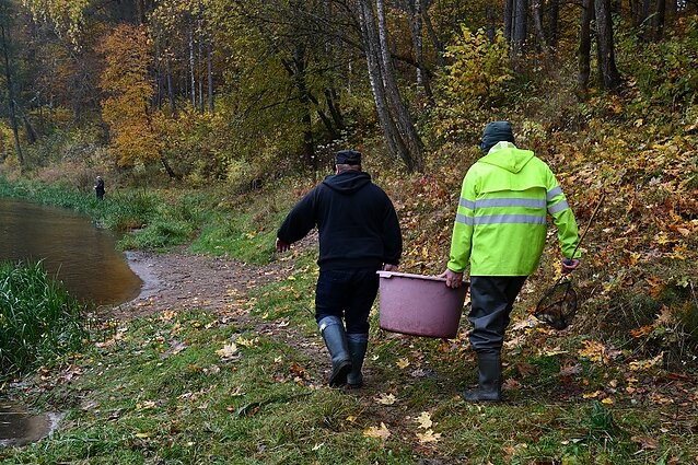 Pernai į vandens telkinius išleista beveik 13 milijonų įvairių rūšių žuvų Pernai į vandens telkinius išleista beveik 13 milijonų įvairių rūšių žuvų
