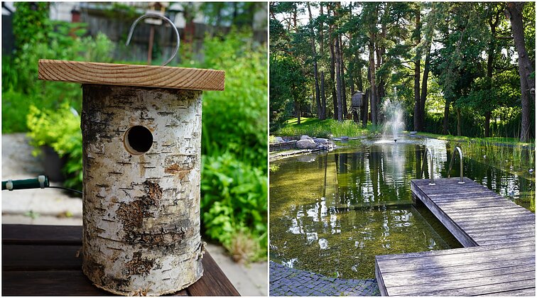 Cia mano sodas. Paukšciu prisiviliojimo ir atbaidymo patarimai bei estetinis vandens iprasminimas sode