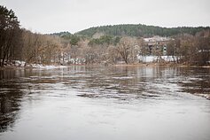 Vilniuje dingusio 15-mečio Mykolo Davidonio paieškos