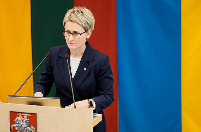 Grunskienė apie susitikimą su Čmilyte-Nielsen: nebuvo kalbos nei apie frakcijas, nei apie partijas