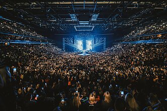 Natalijos Bunkės koncerto akimirka