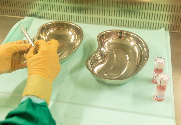 Kauno klinikų Audinių bankas, asociatyvi nuotr. Kauno klinikų Audinių bankas, asociatyvi nuotr.