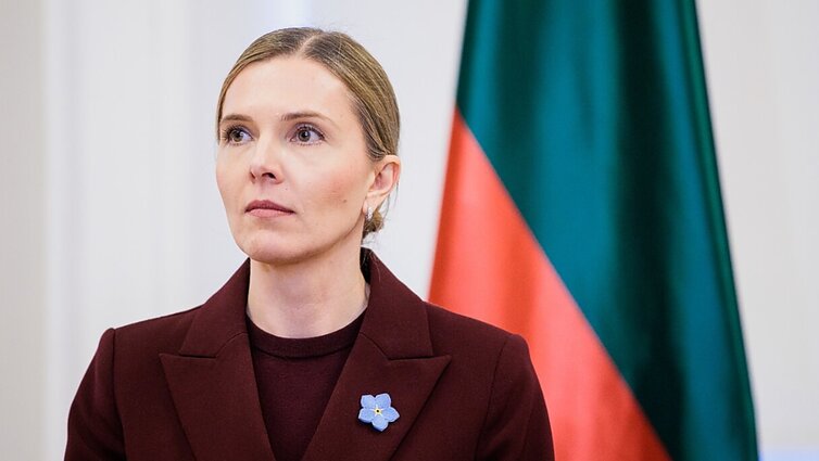 VRM pristatė nusikalstamumo prevencijos modelį ir kriminogeninės situacijos apžvalgą