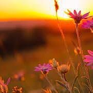 Paraštės. Gyvenimas už užrakintų grotų ir kaip įveikti tas, kurios yra mūsų viduje?