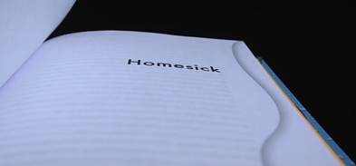 A. Cicėnaitės-Charles romanas  „Anglų kalbos žodynas“