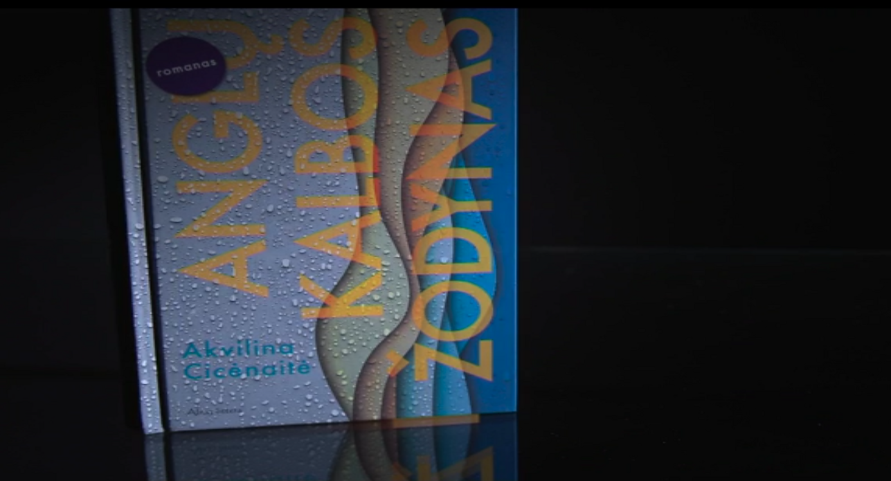 A. Cicėnaitės-Charles romanas  „Anglų kalbos žodynas“