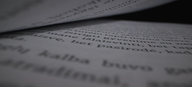 A. Cicėnaitės-Charles romanas  „Anglų kalbos žodynas“