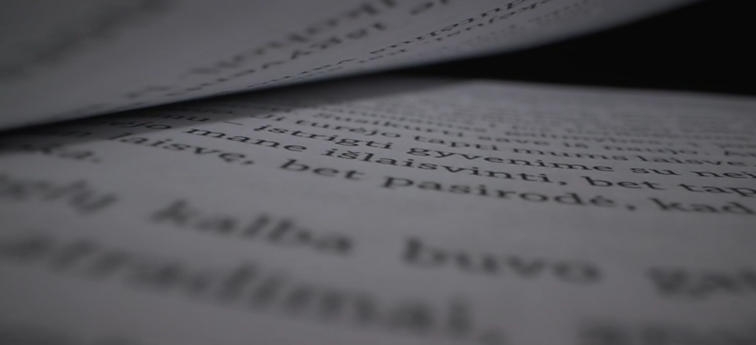 A. Cicėnaitės-Charles romanas  „Anglų kalbos žodynas“