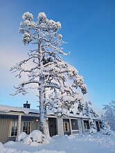 Justinos Vaitiekūnaitės gyvenimo Laplandijoje akimirka Justinos Vaitiekūnaitės gyvenimo Laplandijoje akimirka