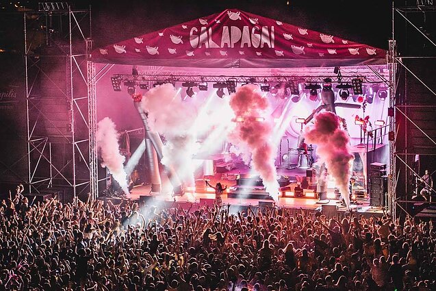 Festivalio „Galapagai“ akimirka