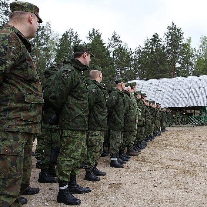 Lietuvos diena. Ką duos šauktinių reforma?