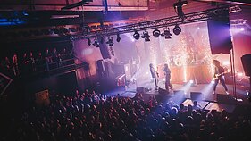 „Palaye Royale“ koncerto akimirka