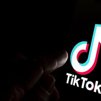TikTok / Shutterstock nuotr., TikTok / Shutterstock nuotr.
