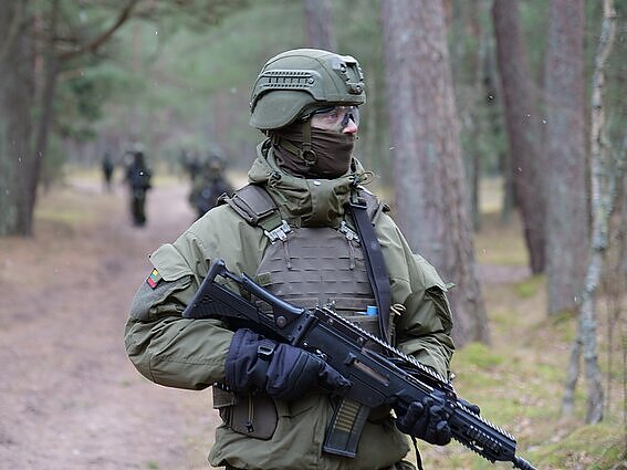 Panorama. Lietuvoje treniruojasi čia priskirtos Vokietijos brigados kariai: apie nuolatinį dislokavimą neužsimenama