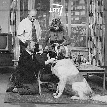 Mažoji studija. Kultūra ir religija. Prie Naujojo Židinio: sovietinės popkultūros simboliai televizijoje
