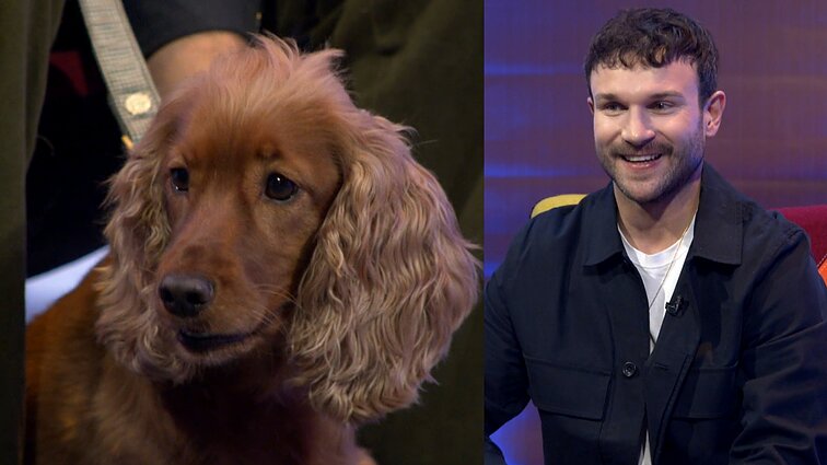 Mano geriausias draugas. Vaido Baumilos augintinė Bitė, mopsų prieglauda bei Luko gyvūnai