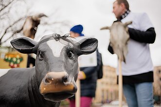 Protestas dėl pieno krizės. Asociatyvi
