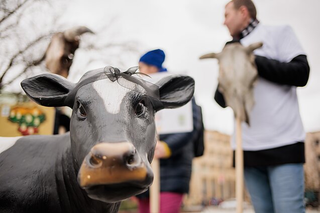 Protestas dėl pieno krizės. Asociatyvi
