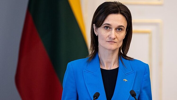 Seimo pirmininkė apie siūlomą mokesčių pertvarką: gera idėja – vadinamo gyvūlių ūkio tvarkymas