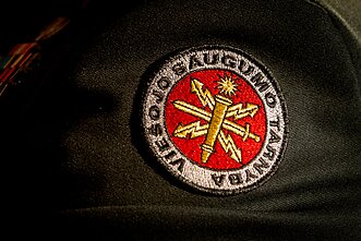 Viešojo saugumo tarnyba (VST) Viešojo saugumo tarnyba (VST)