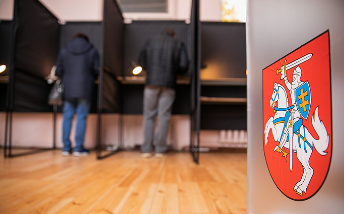 Apžvalgininkė apie rezultatus Vilniaus rajone: Lietuvos lenkai suprato, kad juos atstovauti gali ideologinės partijos, sukurtos netautiniu principu