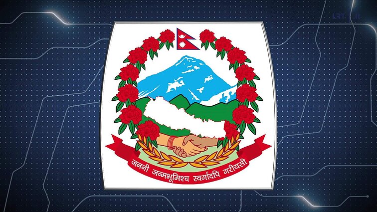 Kas ir kodėl? Kokio kovos meno entuziastas buvo Elvis Presley?