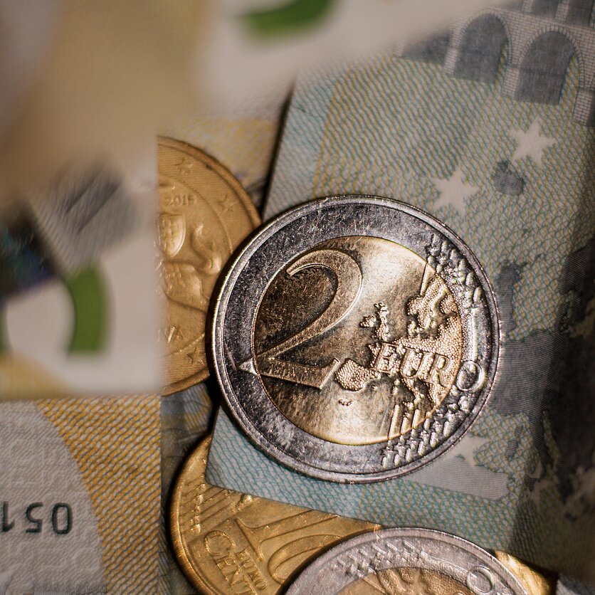 J. Stacevičiaus / LRT nuotr., Pinigai