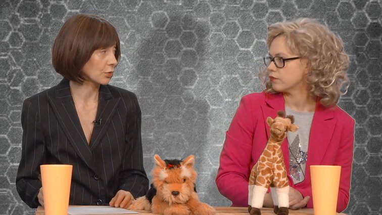 Dviračio žinios. Aušrinė Armonaitė: siūlysime dekriminalizuoti lengvąjį nepotizmą