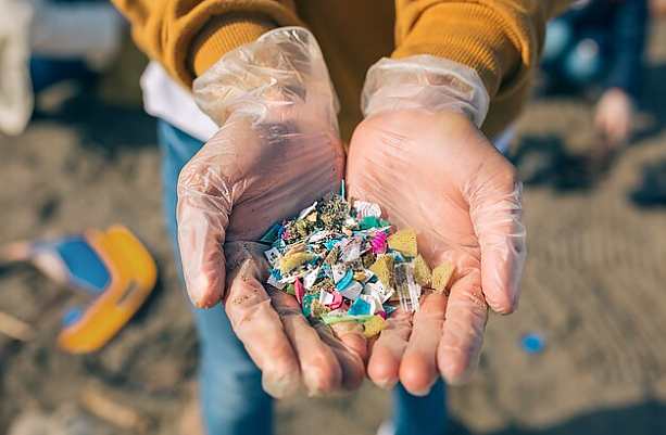 Ekspertė apie ekologinio projekto rezultatus: visose mokinių tirtose upėse buvo rasta plastiko