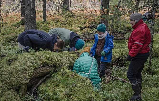 Venecijos architektūros bienalėje Lietuvai atstovaujantys menininkai pristatė „Vaikų miško paviljoną"
