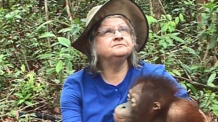 Birutės Galdikas gyvenimo darbas: į orangutaną panašėjęs vaikas bei grėsmė būti nužudytai