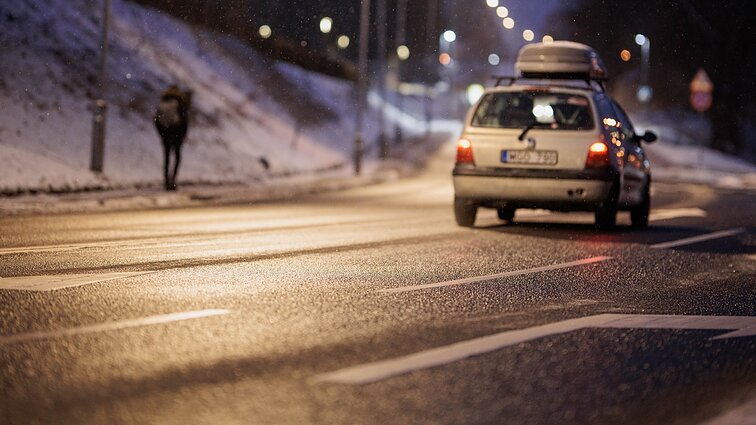 Vairavimo instruktorius pataria, kaip elgtis kelyje, keičiantis orams, ir ką daryti dėl padangų keitimo