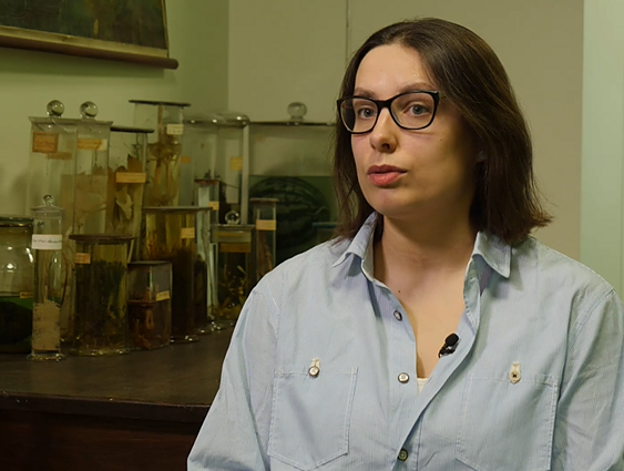 Dr. Vaida Survilienė