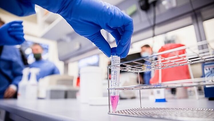 Ryto klausimas. Kas šiuo metu vadovauja Pasaulio sveikatos organizacijai?