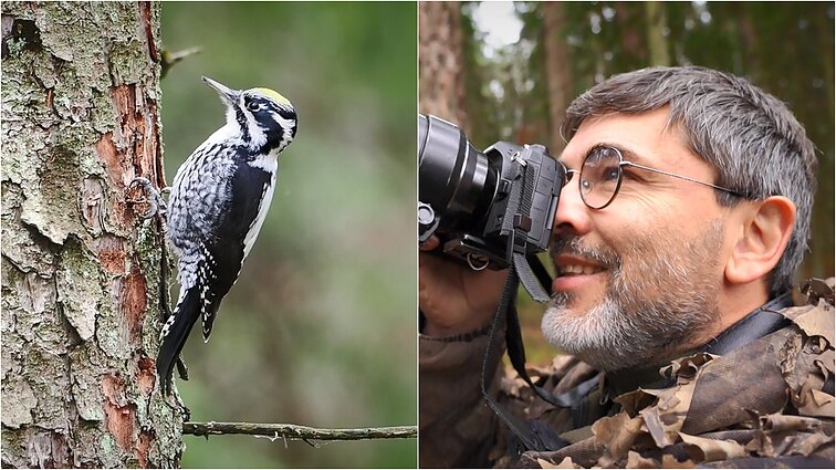 Gamtininko užrašai. Retai sutinkamą tripirštį genį stebėjęs Čepulis: net negalėjau tikėtis tokios sėkmės