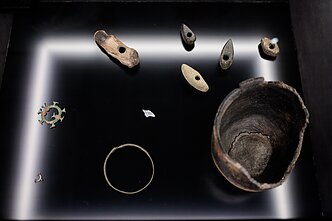 Paroda „Aš esu vilnietis“