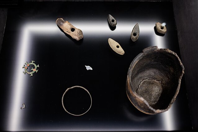 Paroda „Aš esu vilnietis“