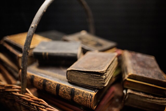 Paroda „Aš esu vilnietis“