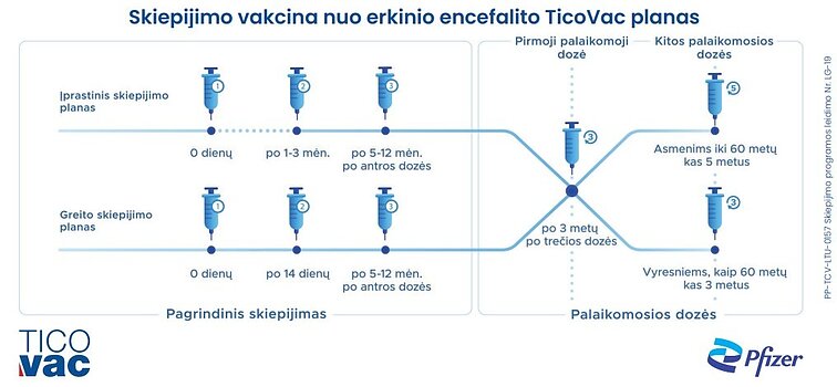 Vakcinacijos nuo erkinio encefalito schema