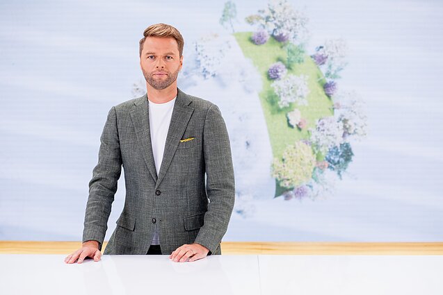 Labas rytas, Lietuva II d.