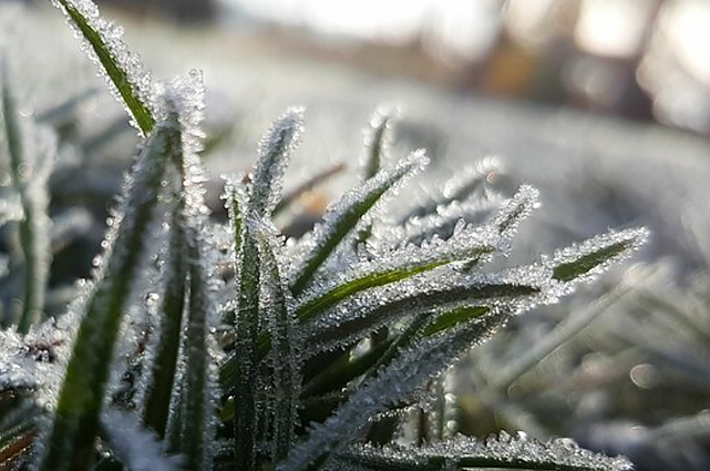 Sinoptikas apie giedresnius orus nuo ketvirtadienio: prasideda šalnų sezonas