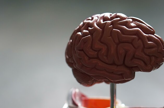 Neurologė apie išsėtinės sklerozės simptomus: tai jaunų žmonių liga, dažnai prasidedanti nuo nuovargio