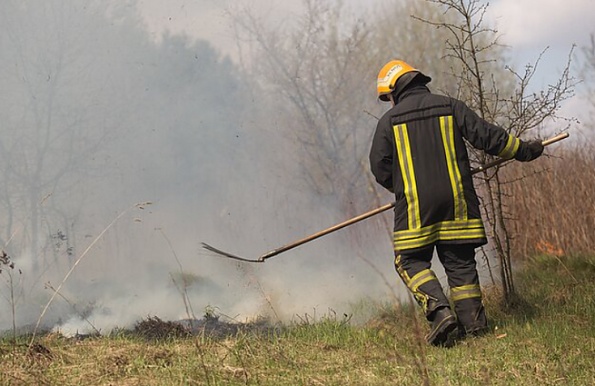 Žinios. Aplinkos apsaugos departamento pareigūnai teigia jau gaunantys pranešimų apie deginamą žolę