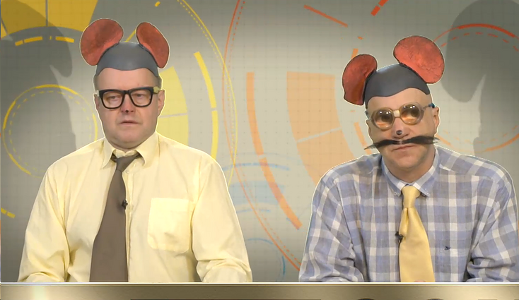 Peliukai apie naminukės įteisinimą: diskriminuojami butų, loftų ir kotedžų savininkai?